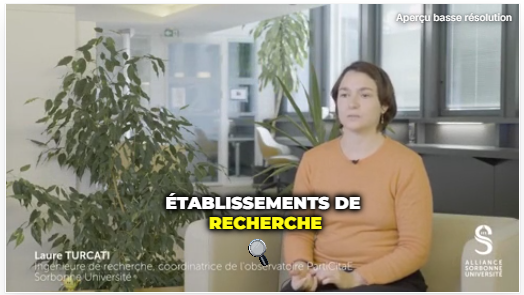Aperçu Submagic 16:9 avec le mot RECHERCHE surligné en jaune