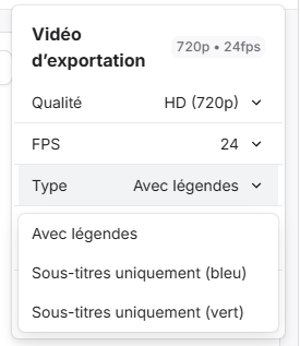 Menu déroulant des types d'export Submagic : avec légendes, sous-titres sur fond bleu ou vert