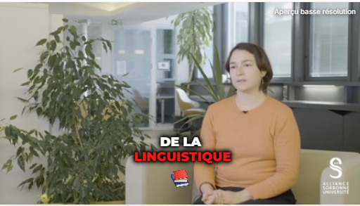 Aperçu Submagic avec le mot LINGUISTIQUE en rouge et un élément graphique