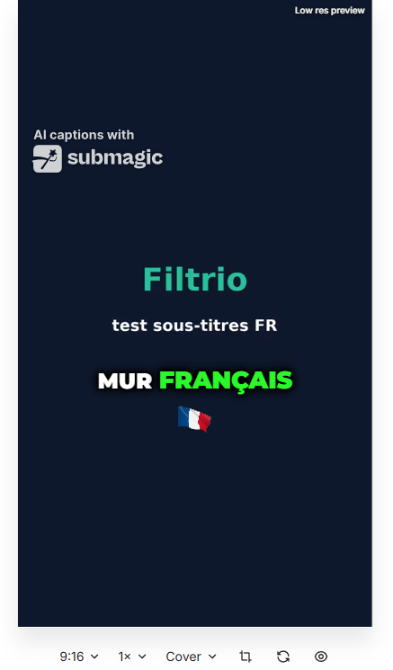 Capture Submagic affichant « MUR FRANÇAIS »